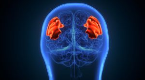 Hipofiz Bezi Büyümesi Neden Olur?