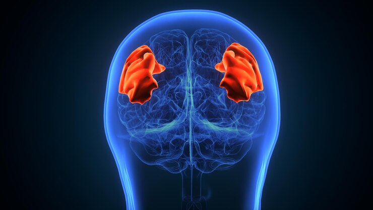 Hipofiz Bezi Büyümesi Neden Olur?