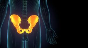 İliak Kemiği Nedir?