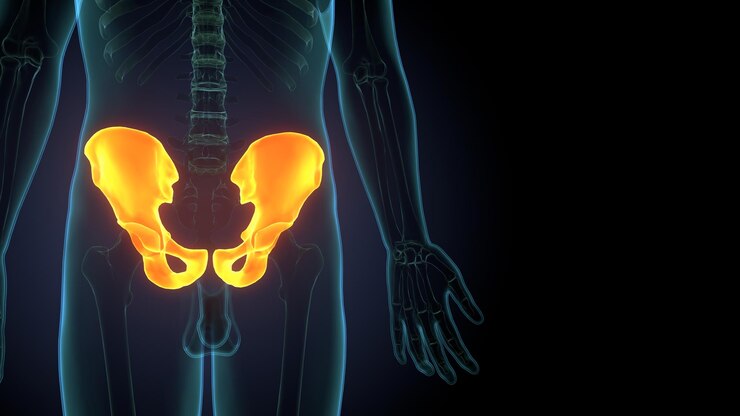 İliak Kemiği Nedir?