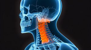 Hyoid Kemik Nedir?