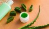 Aloe Vera Jelinin Cilde Faydaları ve Kullanımı