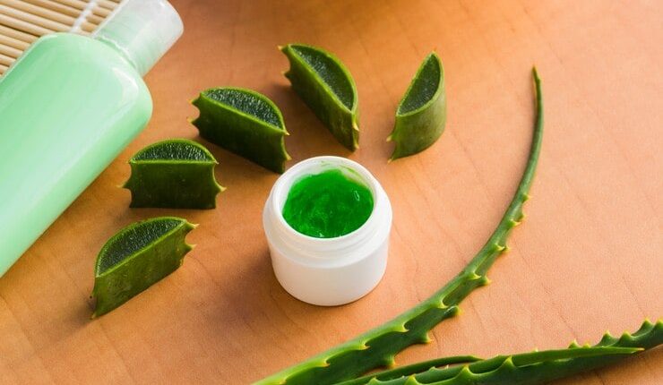 Aloe Vera Jelinin Cilde Faydaları ve Kullanımı