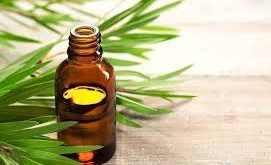 Siğiller İçin Çay Ağacı Yağı Kullanımı