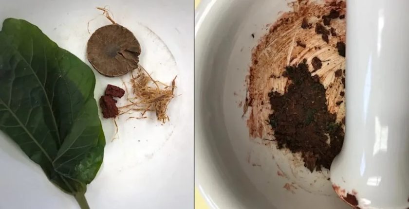 Betel Cevizi Nedir?