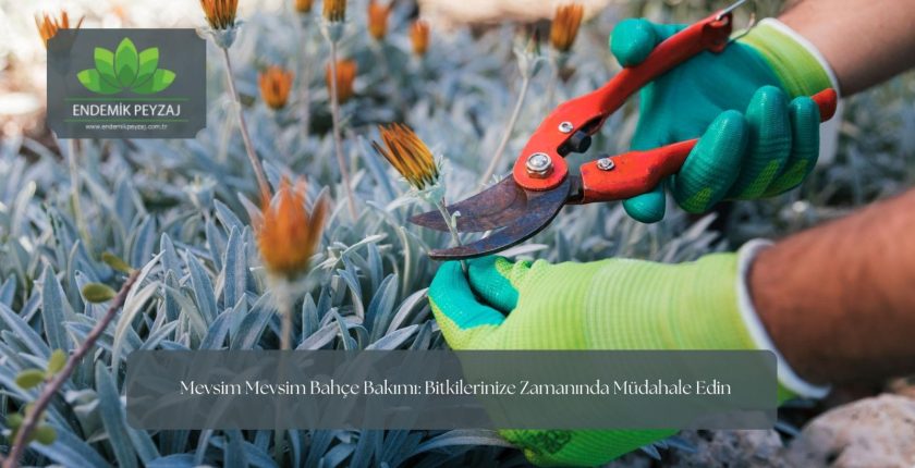 Mevsim Mevsim Bahçe Bakımı: Bitkilerinize Zamanında Müdahale Edin