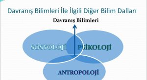 Davranış Ekolojisi Nedir?