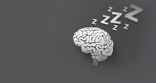 Uyku ve Beyin: Gece Dinlenmenin Bilimsel Temelleri