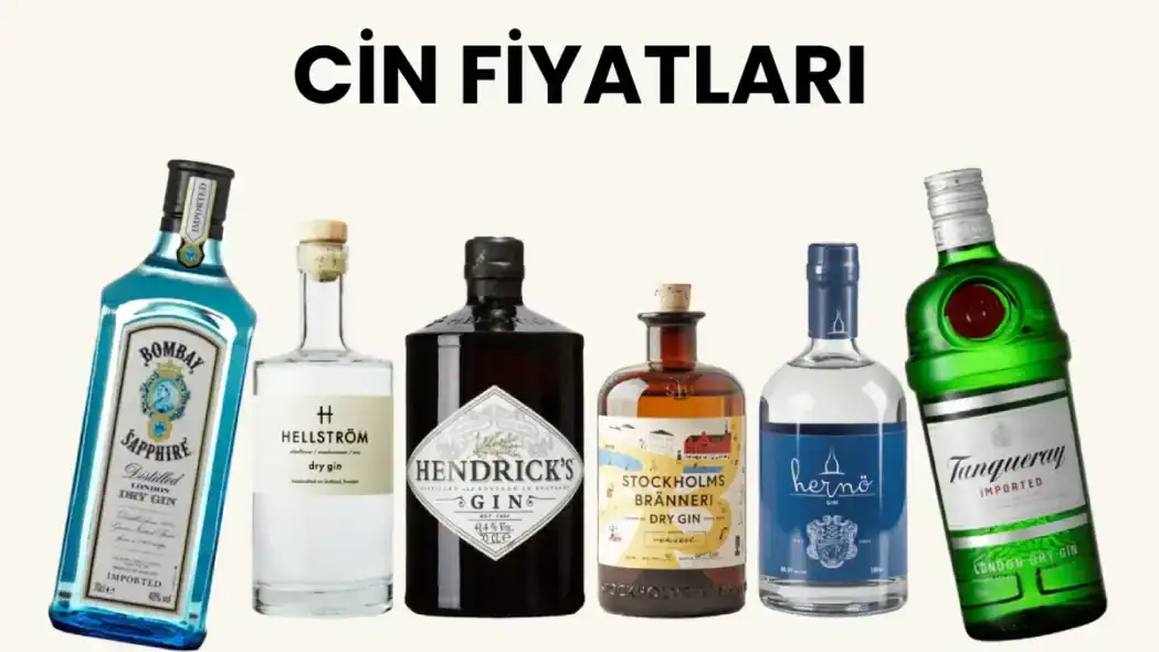 Cin Fiyatları Eylül 2026: Zamlı Güncel Migros Cin Fiyatları