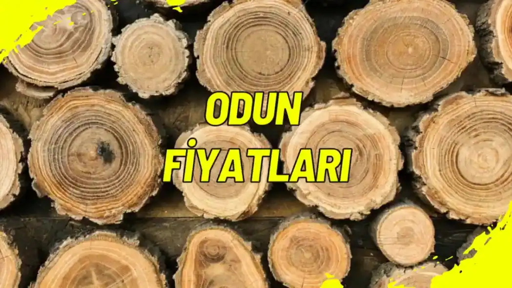 Odun Fiyatları 6 Eylül 2026: 1 Ton Odun Ne Kadar?